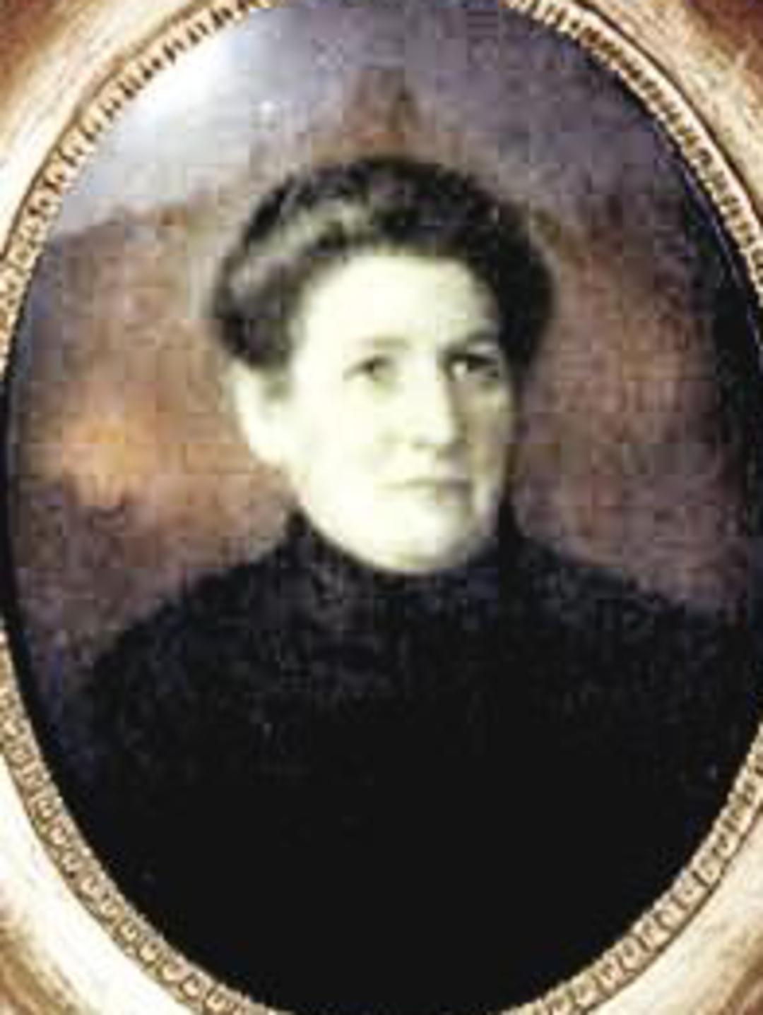 Elizabeth Wilson Stewart (1803 - 1878) Profile
